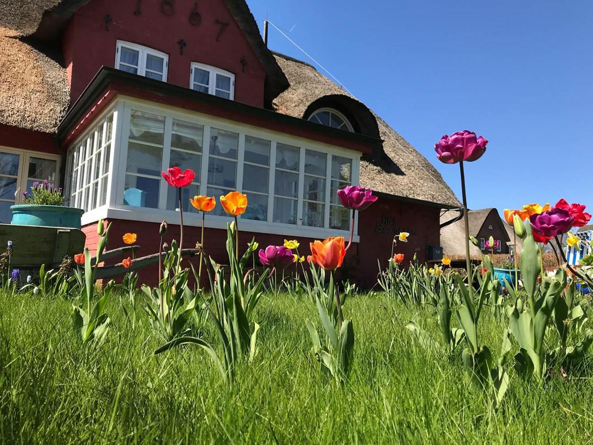 Hues Sanskiin Ferienwohnung *Goodshenk* Suddorf 외부 사진